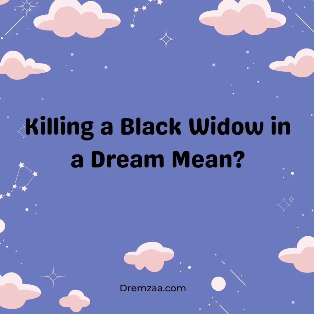 Killing a Black Widow in a Dream Mean