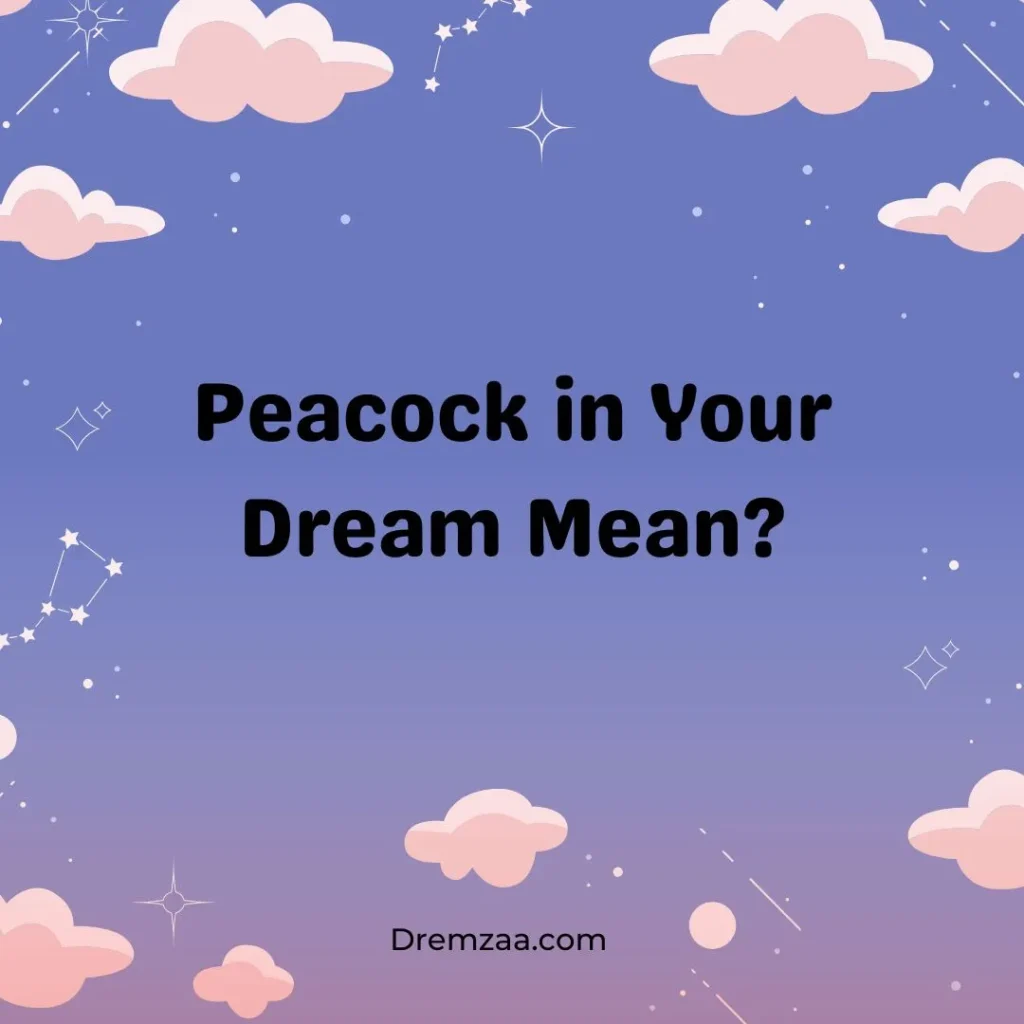 Peacock in Your Dream Mean