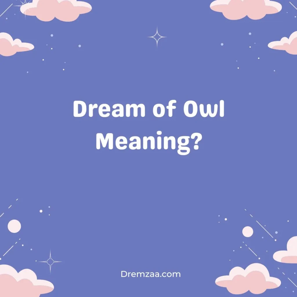 Dream of Owl Meaning