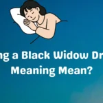 Killing a Black Widow Dream Meaning Mean