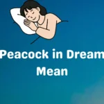 Peacock in Dream Mean
