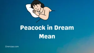 Peacock in Dream Mean